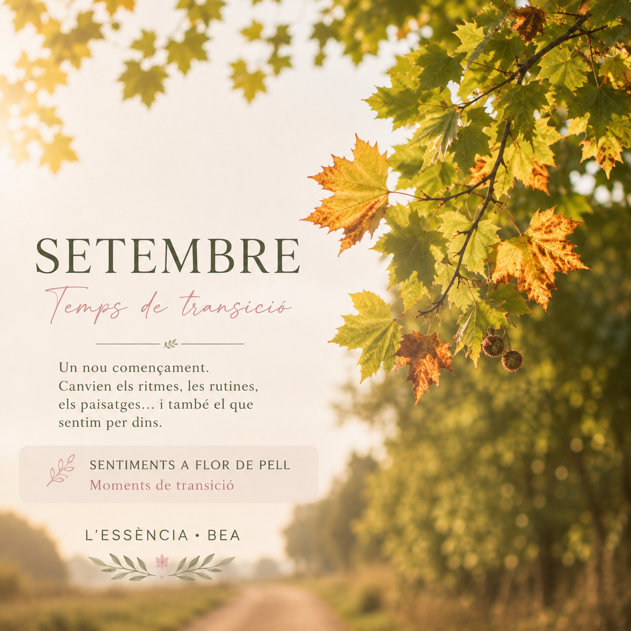 Setembre ens convida a respirar els canvis. Una mirada als nous començaments, a les transicions i a tot allò que es mou dins nostre.